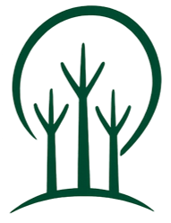 Momentum icon